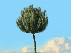 spring trees x20 no2 3D Model