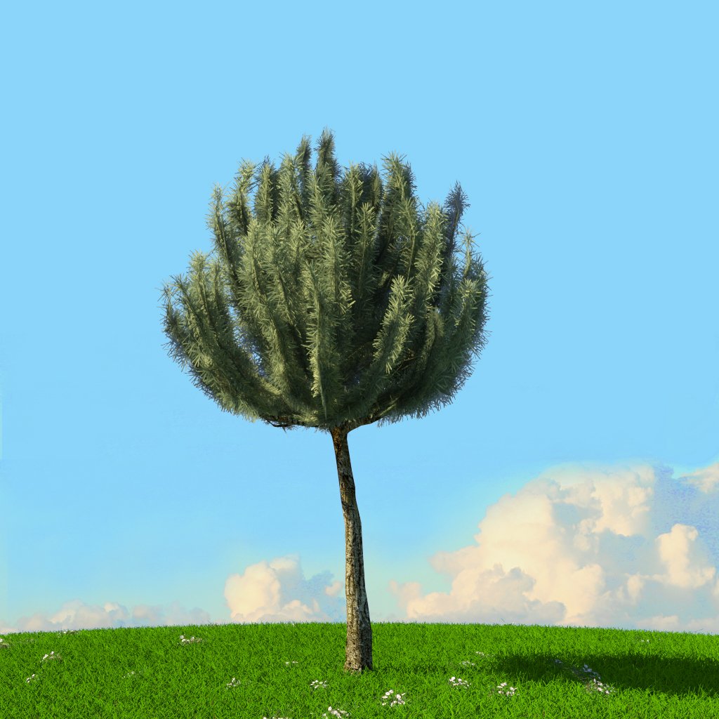 Tree x. Tree x
