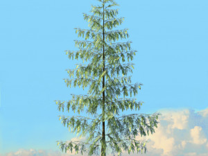 spring trees x20 no2 3D Model