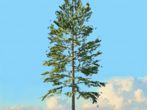 spring trees x20 no2 3D Model