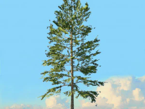 spring trees x20 no2 3D Model