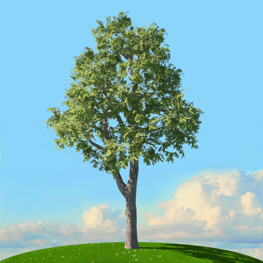 Tree x. Tree x