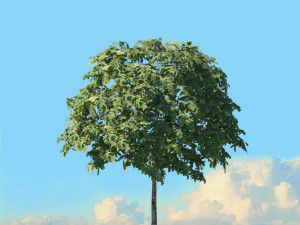spring trees x20 no2 3D Model