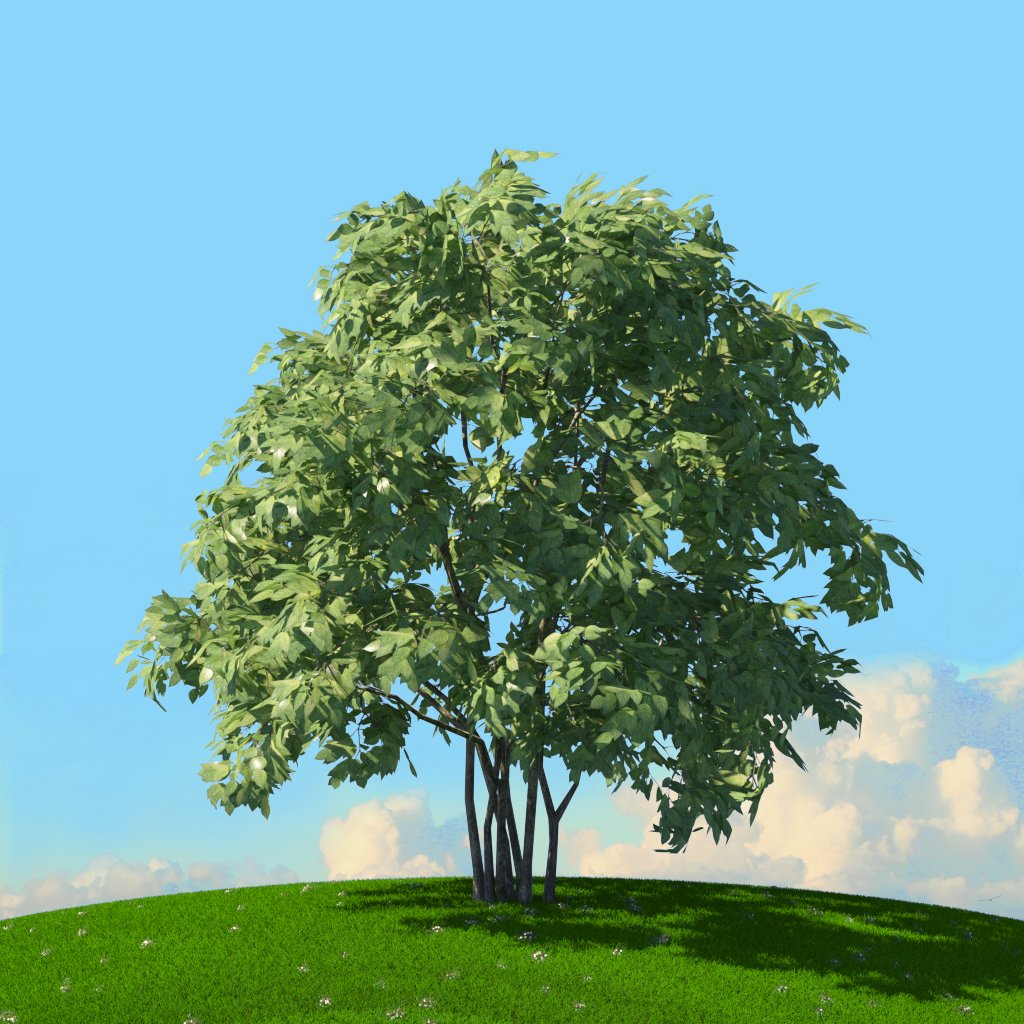 Tree x. Vp tree.