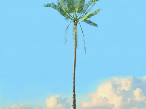 summer trees x21 3D Model