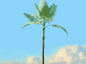 summer trees x21 3D Model