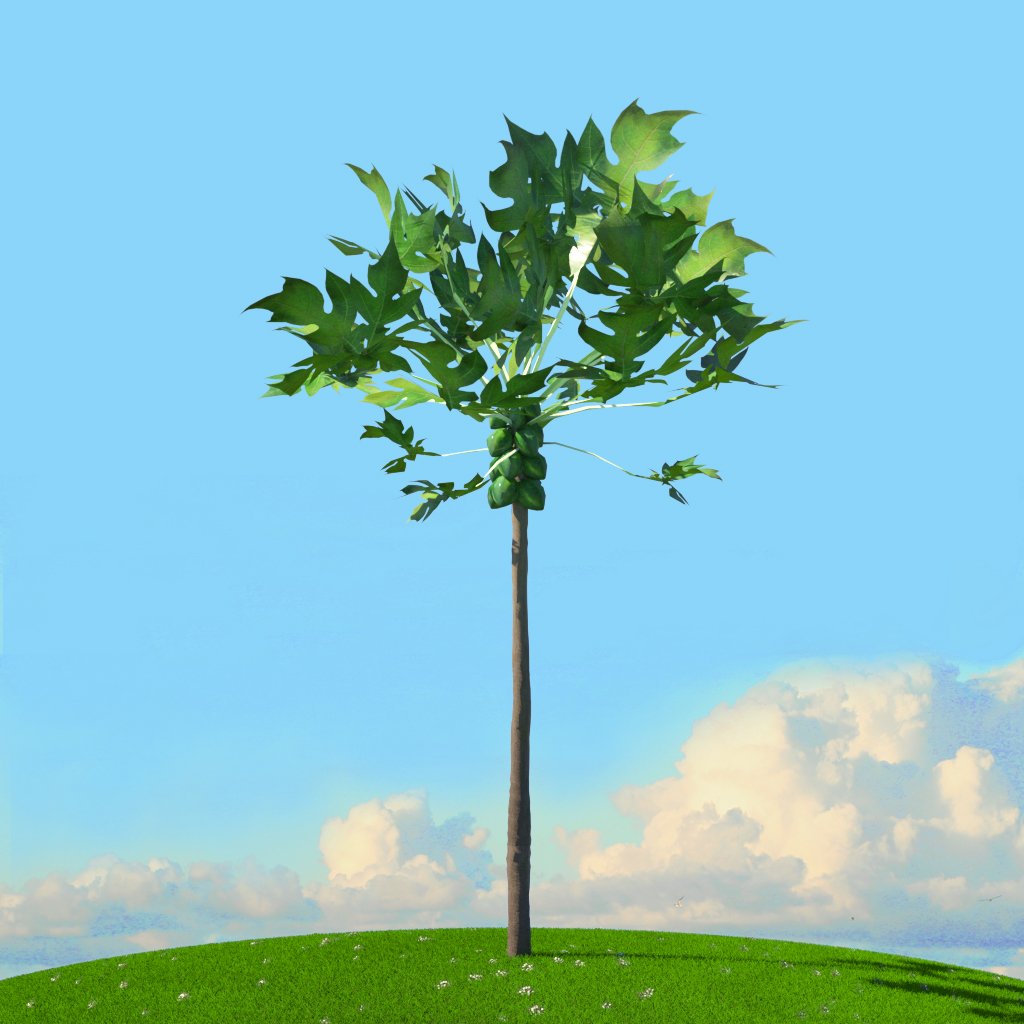 Tree x. Tree x