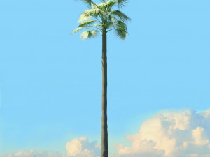 summer trees x21 3D Model