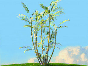 summer trees x21 3D Model