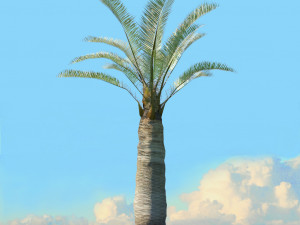 summer trees x21 3D Model