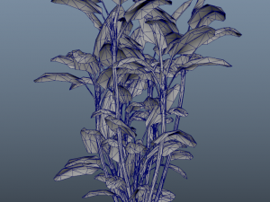 summer trees x21 3D Model