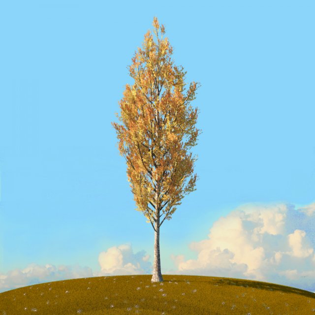 fall trees x11 3D 模型 .c4d .max .obj .3ds .fbx .stl .blend 