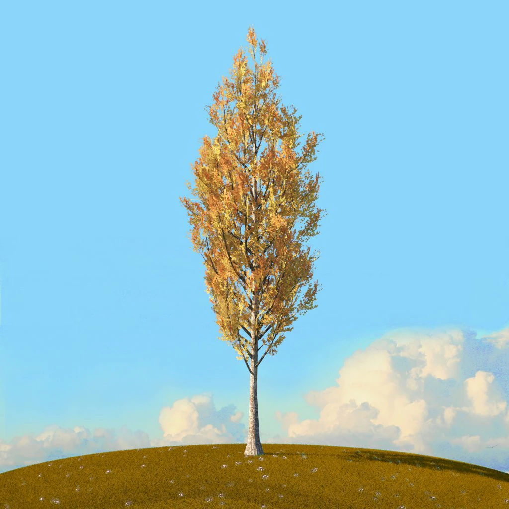 fall trees x11 3D Model .c4d .max .obj .3ds .fbx .stl .blend 