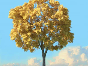 fall trees x11 3D Model