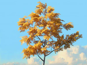 fall trees x11 3D Model