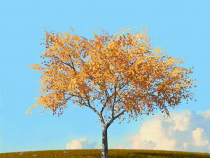 fall trees x11 3D Model