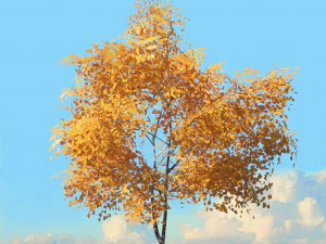 fall trees x11 3D Model
