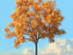 fall trees x11 3D Model