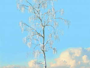 winter trees x8 3Dモデル