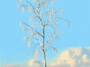winter trees x8 3D Model