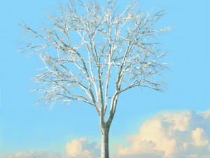winter trees x8 Modelo 3D