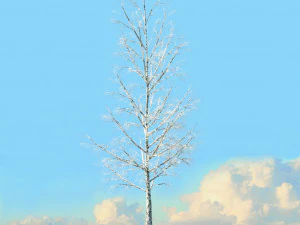 winter trees x8 3D Model