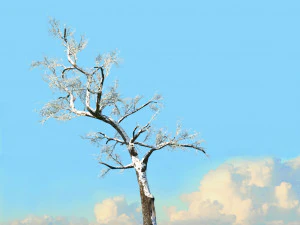 winter trees x8 3D Model