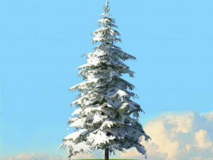 winter trees x8 Modelo 3D