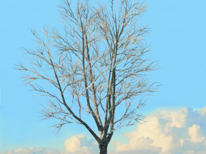 winter trees x8 Modelo 3D