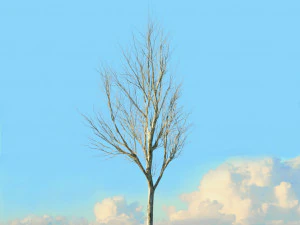 winter trees x8 3D Model