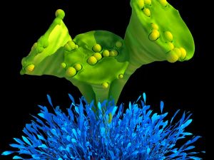 fantasy plants 3D Model