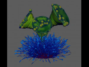 fantasy plants 3D Model