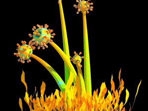 fantasy plants Modèle 3D