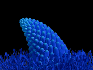 fantasy plants Modèle 3D