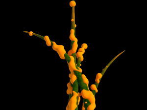 fantasy plants Modèle 3D