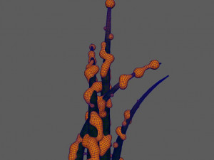 fantasy plants Modèle 3D