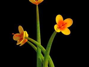 fantasy plants Modèle 3D