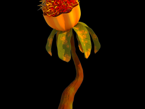 fantasy plants Modèle 3D