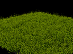 licuadora de hierba Modelo 3D