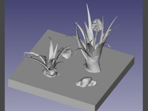 aloe wildfire 3 models Model do druku 3D