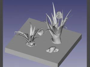 Aloe Wildfire 3 modelli Modello di stampa 3D