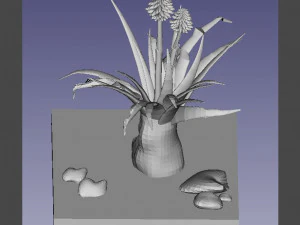 aloe wildfire 3 models 3D Print Model