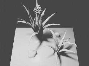 aloe wildfire 3 models 3D Принт Модель