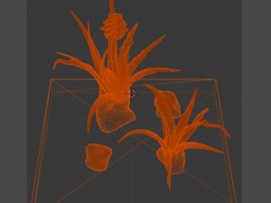 aloe wildfire 3 models 3D Принт Модель