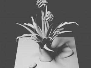 aloe wildfire 3 models 3D Принт Модель