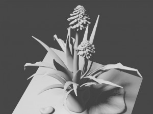 aloe wildfire 3 models 3D Принт Модель