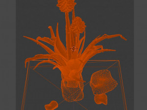 aloe wildfire 3 models 3D Принт Модель