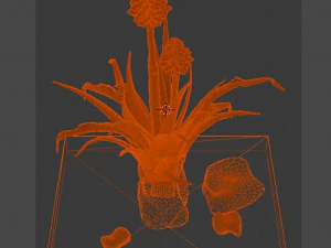 aloe wildfire 3 models 3D Print Model