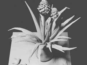 aloe wildfire 3 models 3D Принт Модель