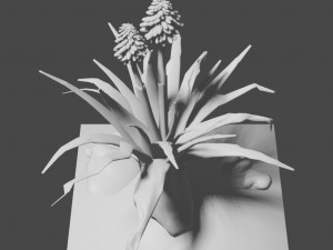 aloe wildfire 3 models 3D Принт Модель